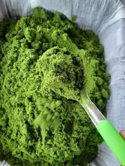 100g Wolffia Organic Dried Powder Natural Super Food High Vitamin Fiber Protein