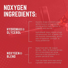 NOXYGEN Powder, 40 Servings (Unflavored)
