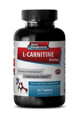 Immune Support For Dogs – L-Carnitine 510mg 1B – Carnitine Arginate
