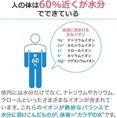 Otsuka POCARI SWEAT Ion Supply Drink 500ml x 24 bottles New Sports Drink From JP