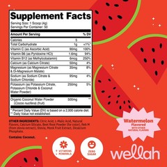 Wellah Electrolytes Powder (Watermelon) 50 Servings – Hydration Drink Mix