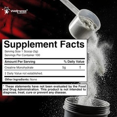 WELLNESS LABSRX Creatine Monohydrate Powder 500g – 100 Servings Micronized