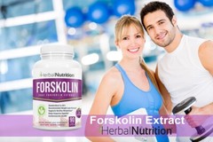 Best Forskolin Extract Weight Loss Supplement 180 Capsules 250mg 20% Extract