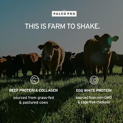 Paleo Protein Supplement Powder 1 Pound Grass Fed Beef Egg White Grain Free