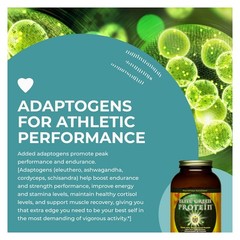 HealthForce SuperFoods Elite Green Protein Mesquite 500g Powder