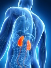 kidney cleanse and detox – WATER AWAY PILLS 700mg 3B — remove excess water