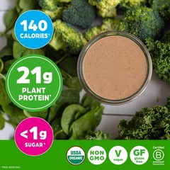 Orgain Organic Vegan Protein Powder Greens Creamy Chocolate Fudge – 21G Plant