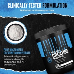 Animal Creatine Monohydrate Powder – 300g (Pack of 1), Unflavored