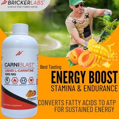 Bricker Labs CARNIBLAST Liquid L-Carnitine 3000mg 16 Fl Oz (Pack of 1)