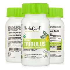 Organic Tribulus Terrestris Capsules – Muscle Booster with High Potency Saponins