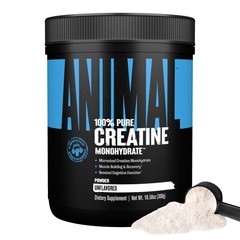 Animal Creatine Monohydrate Powder – 300g (Pack of 1), Unflavored