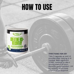 PowerPlay Fuel CREATINE HCl + Recovery Capsules for Muscle & Brain Health – 90ct