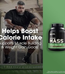 Optimum Nutrition Serious Mass High Protein Weight Gain Chocolate, 6LB, BB: 5/26