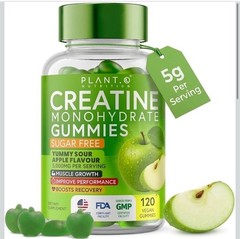 PLANT.O NUTRITION Creatine Monohydrate Gummies Sugar Free 120 Count Green Apple