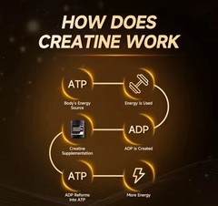 Ahete Gym Gains Creatine Monohydrate Powder Sugar-Free ⭐️ US FREE SHIPPING ⭐️