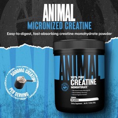 Animal Creatine Monohydrate Powder – 300g (Pack of 1), Unflavored