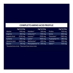 Sugar Free Vanilla Whey Protein Powder, 11.8 oz – Low Carb, High Protein Supplem