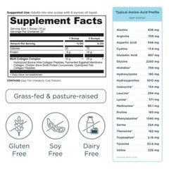 Ancient Nutrition Multi Collagen Protein Powder – Unflavored – 20 Servings