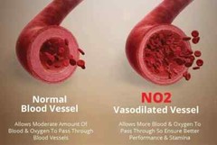 TestForm-X + NO2 Max (1 of each) – Save 20% with Combo!