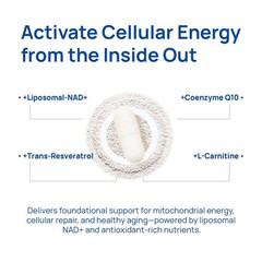 Selerb NAD+ Supplement for Men– With Liposomal-NAD+,CoQ10,L-Carnitine,L-Arginine