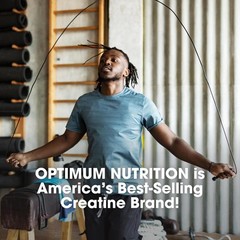 Optimum Nutrition Micronized Creatine Monohydrate Powder 5g 60 Servings