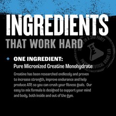 Animal CREATINE Bulk Size Micronized Monohydrate 300 Capsules – 150 Servings