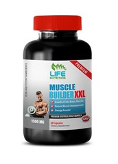 L-Lysine 250 – Muscle Builder XXL 1500mg – Promote Post Workout Recovery 1B