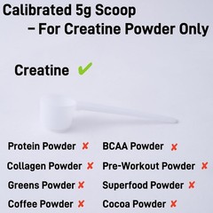 3-Pack 5g Scoop Creatine – White Measuring Spoons Calibrated Creatine