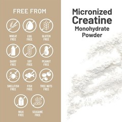 Micronized Creatine Monohydrate Powder, 5000mg (5g) Per Serving – Creatine fo…