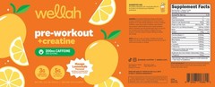 Wellah Pre-Workout + Creatine Powder (30 Servings) Mango Lemonade – 3g Creatine