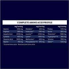 Delicious Sugar-Free Chocolate Whey Protein 20g – Gluten Free, Keto 12.5oz