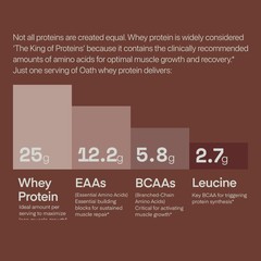 Oath Nutrition Whey Protein Powder Chocolate Brownie 25 Grams Of Protein And