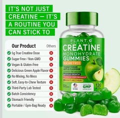 PLANT.O NUTRITION Creatine Monohydrate Gummies Sugar Free 120 Count Green Apple