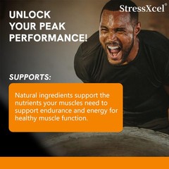 1000mg Supplement 500mg Ajuga Turkestanica Per Serving Increase Stamina Capsules