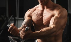 Muscle gain pills – CREATINE TRI-PHASE 2B – creatine Pyruvate – protein powder