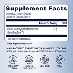 CreaBrainIQ High Dose Creatine Powder for Brain Health – 10g Per Serving – Su…