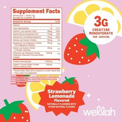 Wellah Creatine + Electrolytes Powder – Strawberry Lemonade – 30 Servings
