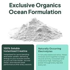 Instantized Creatine Monohydrate Powder with Electrolytes – Muscle Support, 30