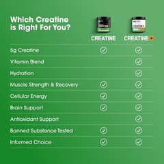 Optimum Nutrition Micronized Creatine Monohydrate 100 Capsules 2500m