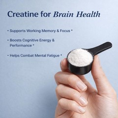 CreaBrainIQ High Dose Creatine Powder for Brain Health – 10g Per Serving – Su…