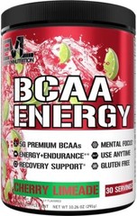 EVL Evlution Nutrition BCAA Energy Amino Acid Pre-Workout Powder – All FLAVORS