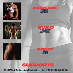 PowerPlay Fuel CREATINE HCl + Recovery Capsules for Muscle & Brain Health – 90ct