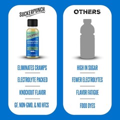 Suckerpunch Electrolyte Pickle Juice Shot, Leg and 2 Fl Oz (Pack of 12)