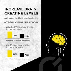 cregaatine – scientifically revolutionzed creatine, creatine+gaa, energy supplem