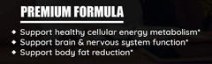 The Vitamin Shoppe ACETYL L-CARNINTINE 240 Capsules ( 240 Servings )BEST BY 5/25