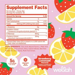Wellah L-Glutamine Strawberry Lemonade (50 Servings) – Sweetened with Stevia