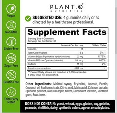 PLANT.O NUTRITION Creatine Monohydrate Gummies Sugar Free 120 Count Green Apple