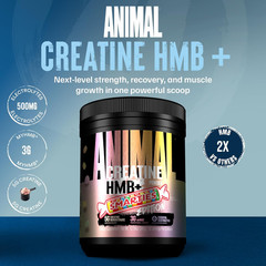 Creatine HMB Powder X Smarties – 3G Myhmb + 5G Creatine Monohydrate Powder with