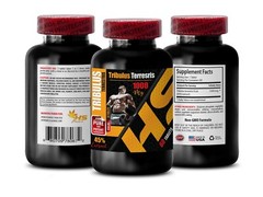 tribulus extract for men – TRIBULUS TERRESTRIS 1000mg – energy pills – 2 Bottles