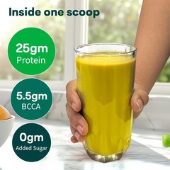 OZiva Bioactive Plant Protein,5.5 BCAA| Pea Isolate| Plant based Protein Powder